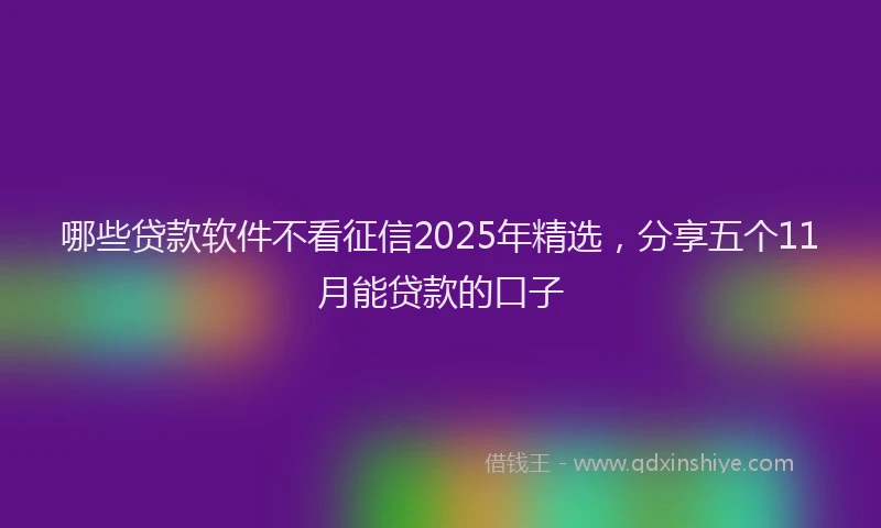 哪些贷款软件不看征信2025年精选，分享五个11月能贷款的口子