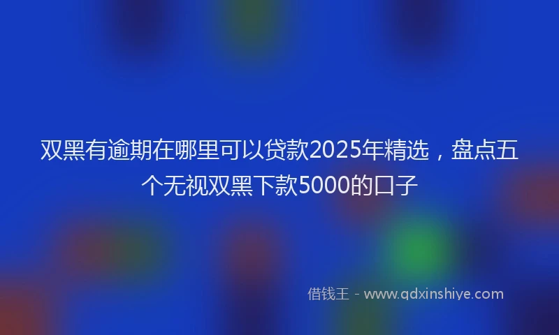 双黑有逾期在哪里可以贷款2025年精选，盘点五个无视双黑下款5000的口子