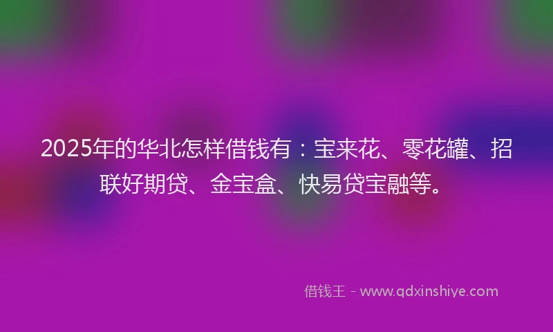2025年的华北怎样借钱有：宝来花、零花罐、招联好期贷、金宝盒、快易贷宝融等。