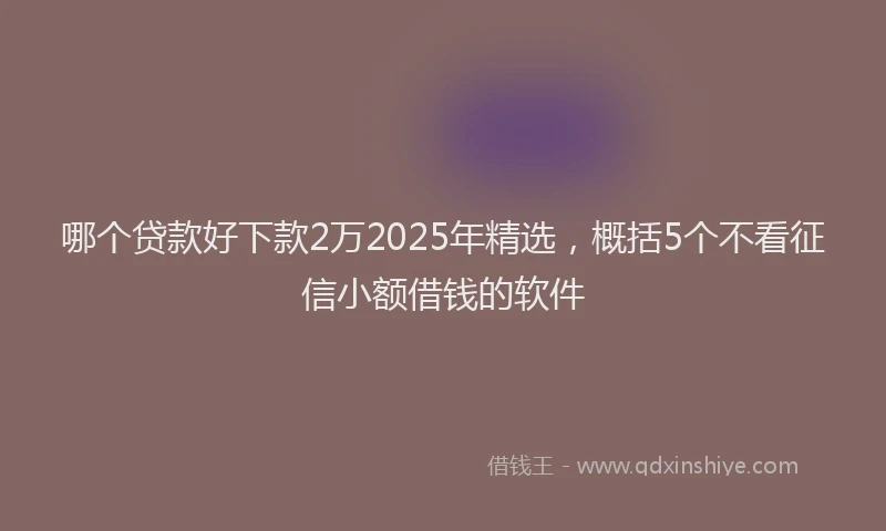 哪个贷款好下款2万2025年精选，概括5个不看征信小额借钱的软件
