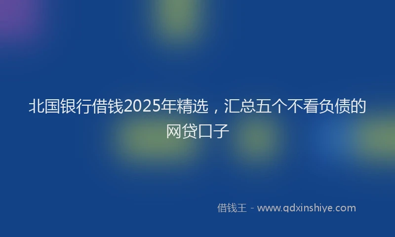 北国银行借钱2025年精选，汇总五个不看负债的网贷口子