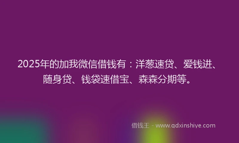 2025年的加我微信借钱有：洋葱速贷、爱钱进、随身贷、钱袋速借宝、森森分期等。