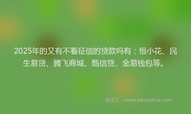 2025年的又有不看征信的贷款吗有：恒小花、民生易贷、腾飞商城、甄信贷、金易钱包等。