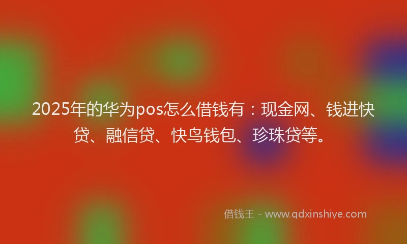 2025年的华为pos怎么借钱有：现金网、钱进快贷、融信贷、快鸟钱包、珍珠贷等。