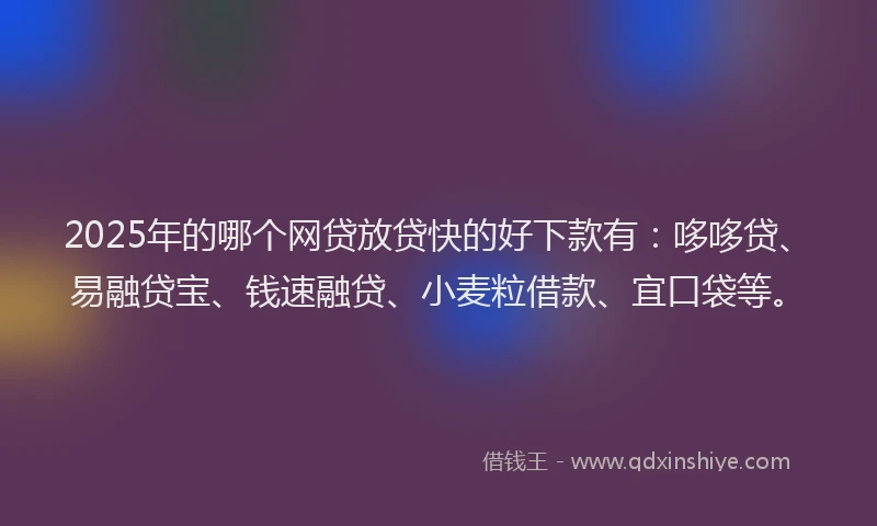 2025年的哪个网贷放贷快的好下款有：哆哆贷、易融贷宝、钱速融贷、小麦粒借款、宜口袋等。