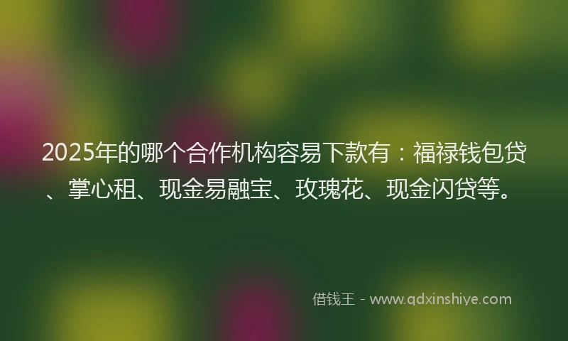 2025年的哪个合作机构容易下款有：福禄钱包贷、掌心租、现金易融宝、玫瑰花、现金闪贷等。