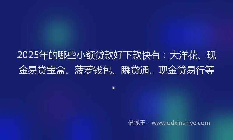 2025年的哪些小额贷款好下款快有：大洋花、现金易贷宝盒、菠萝钱包、瞬贷通、现金贷易行等。