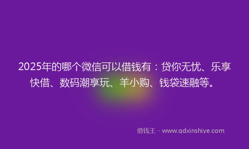 2025年的哪个微信可以借钱有：贷你无忧、乐享快借、数码潮享玩、羊小购、钱袋速融等。