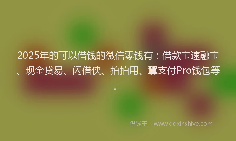 2025年的可以借钱的微信零钱有：借款宝速融宝、现金贷易、闪借侠、拍拍用、翼支付Pro钱包等。