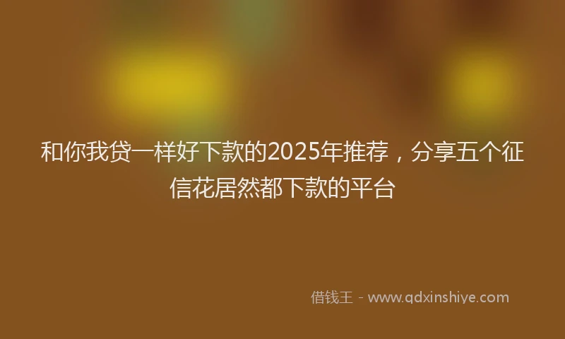 和你我贷一样好下款的2025年推荐，分享五个征信花居然都下款的平台