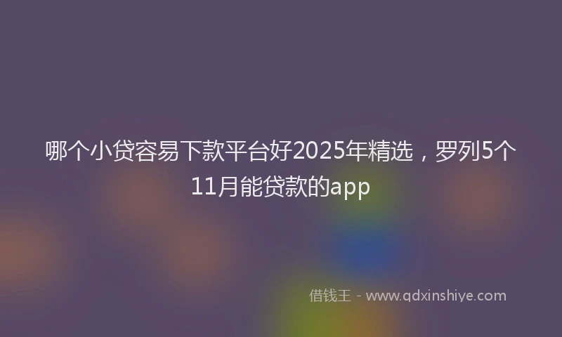哪个小贷容易下款平台好2025年精选，罗列5个11月能贷款的app