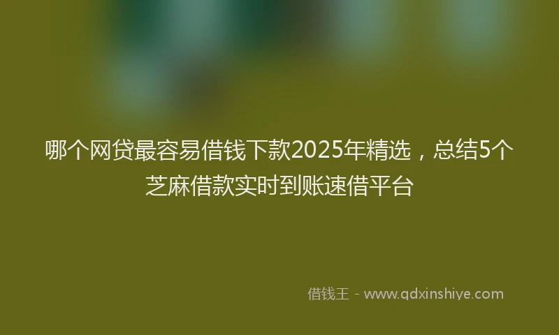 哪个网贷最容易借钱下款2025年精选，总结5个芝麻借款实时到账速借平台