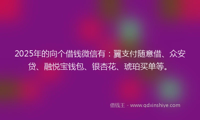 2025年的向个借钱微信有：翼支付随意借、众安贷、融悦宝钱包、银杏花、琥珀买单等。
