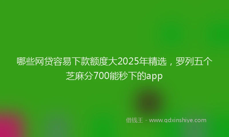 哪些网贷容易下款额度大2025年精选，罗列五个芝麻分700能秒下的app