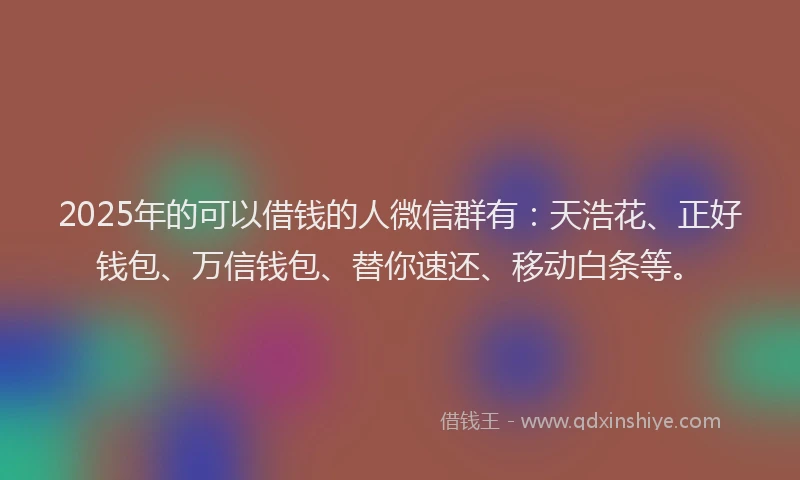 2025年的可以借钱的人微信群有：天浩花、正好钱包、万信钱包、替你速还、移动白条等。