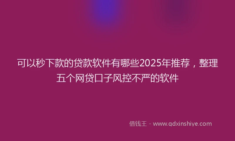 可以秒下款的贷款软件有哪些2025年推荐，整理五个网贷口子风控不严的软件