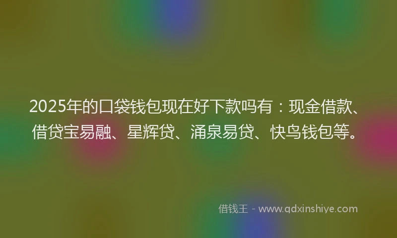 2025年的口袋钱包现在好下款吗有：现金借款、借贷宝易融、星辉贷、涌泉易贷、快鸟钱包等。