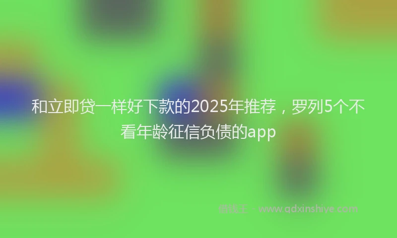 和立即贷一样好下款的2025年推荐，罗列5个不看年龄征信负债的app