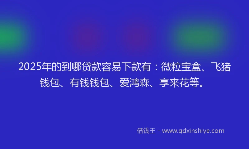 2025年的到哪贷款容易下款有：微粒宝盒、飞猪钱包、有钱钱包、爱鸿森、享来花等。