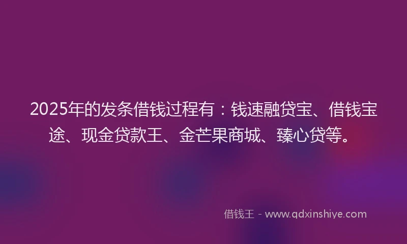 2025年的发条借钱过程有：钱速融贷宝、借钱宝途、现金贷款王、金芒果商城、臻心贷等。