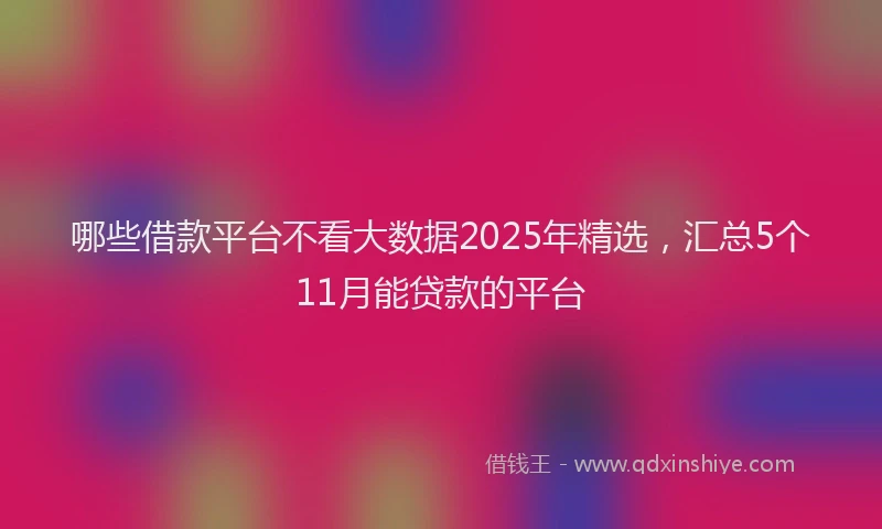 哪些借款平台不看大数据2025年精选，汇总5个11月能贷款的平台