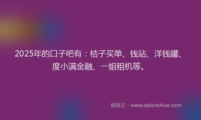 2025年的口子吧有：桔子买单、钱站、洋钱罐、度小满金融、一姐租机等。
