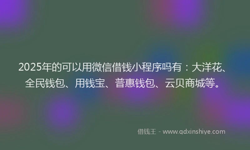 2025年的可以用微信借钱小程序吗有：大洋花、全民钱包、用钱宝、普惠钱包、云贝商城等。