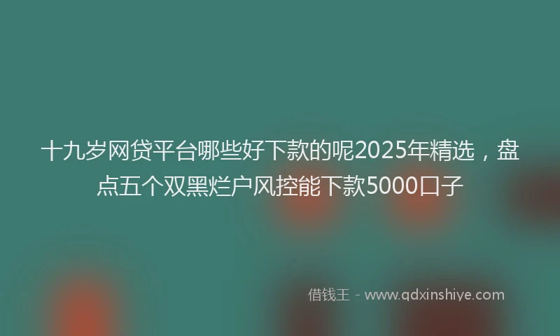 十九岁网贷平台哪些好下款的呢2025年精选，盘点五个双黑烂户风控能下款5000口子