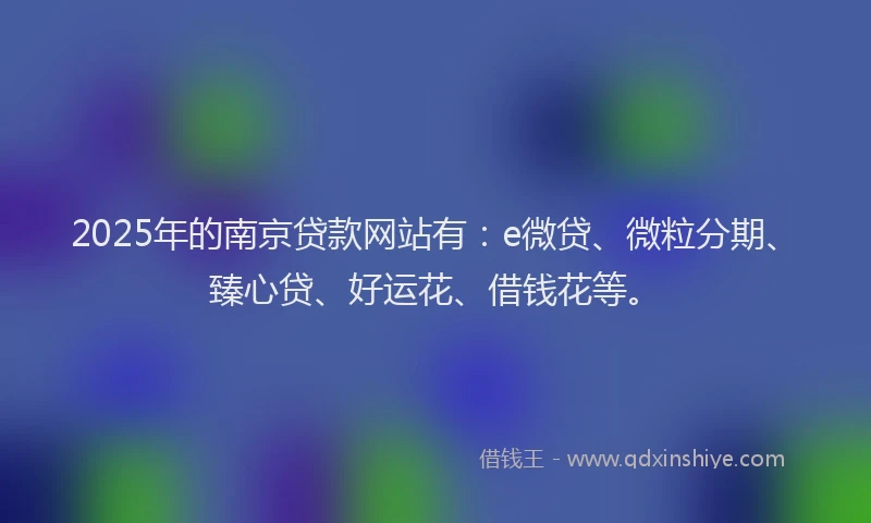 2025年的南京贷款网站有：e微贷、微粒分期、臻心贷、好运花、借钱花等。