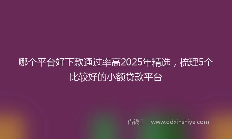 哪个平台好下款通过率高2025年精选，梳理5个比较好的小额贷款平台