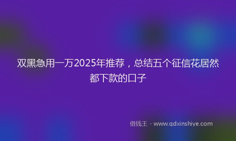 双黑急用一万2025年推荐，总结五个征信花居然都下款的口子