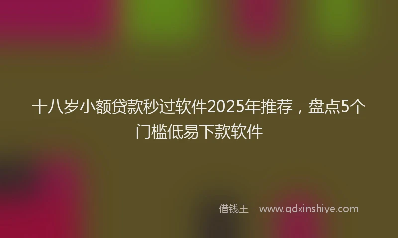 十八岁小额贷款秒过软件2025年推荐，盘点5个门槛低易下款软件