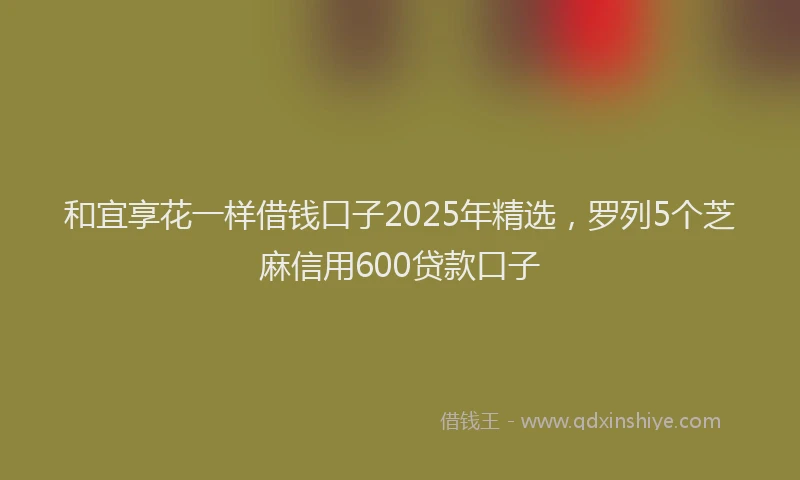 和宜享花一样借钱口子2025年精选，罗列5个芝麻信用600贷款口子