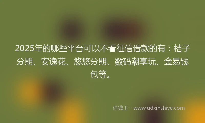 2025年的哪些平台可以不看征信借款的有：桔子分期、安逸花、悠悠分期、数码潮享玩、金易钱包等。