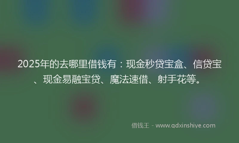 2025年的去哪里借钱有：现金秒贷宝盒、信贷宝、现金易融宝贷、魔法速借、射手花等。
