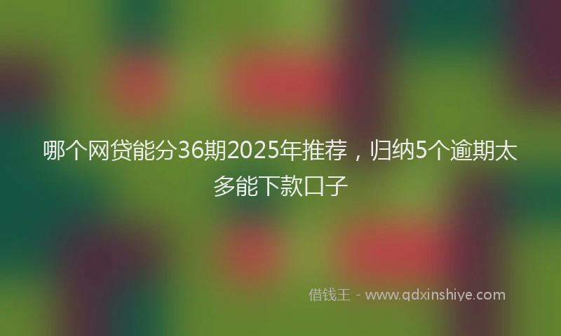 哪个网贷能分36期2025年推荐，归纳5个逾期太多能下款口子