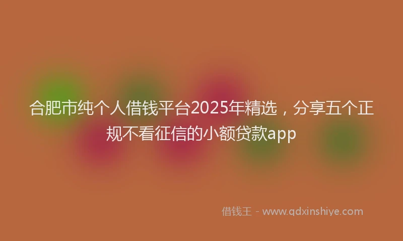 合肥市纯个人借钱平台2025年精选，分享五个正规不看征信的小额贷款app