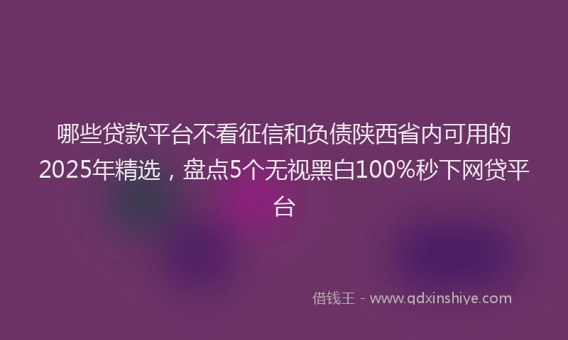 哪些贷款平台不看征信和负债陕西省内可用的2025年精选，盘点5个无视黑白100%秒下网贷平台