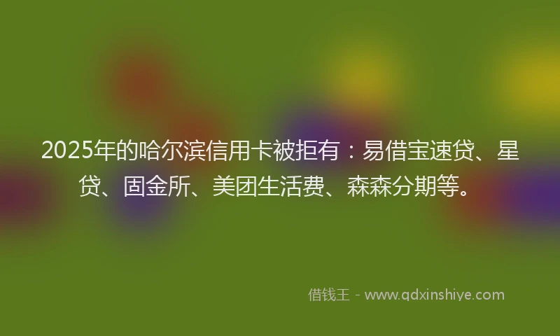 2025年的哈尔滨信用卡被拒有：易借宝速贷、星贷、固金所、美团生活费、森森分期等。