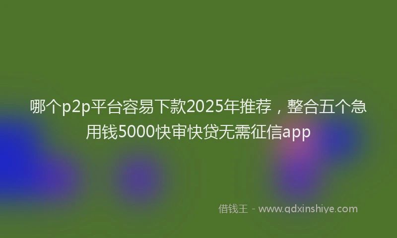 哪个p2p平台容易下款2025年推荐，整合五个急用钱5000快审快贷无需征信app