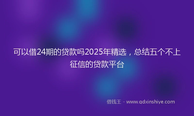 可以借24期的贷款吗2025年精选，总结五个不上征信的贷款平台