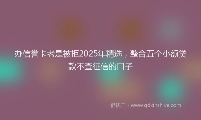 办信誉卡老是被拒2025年精选，整合五个小额贷款不查征信的口子