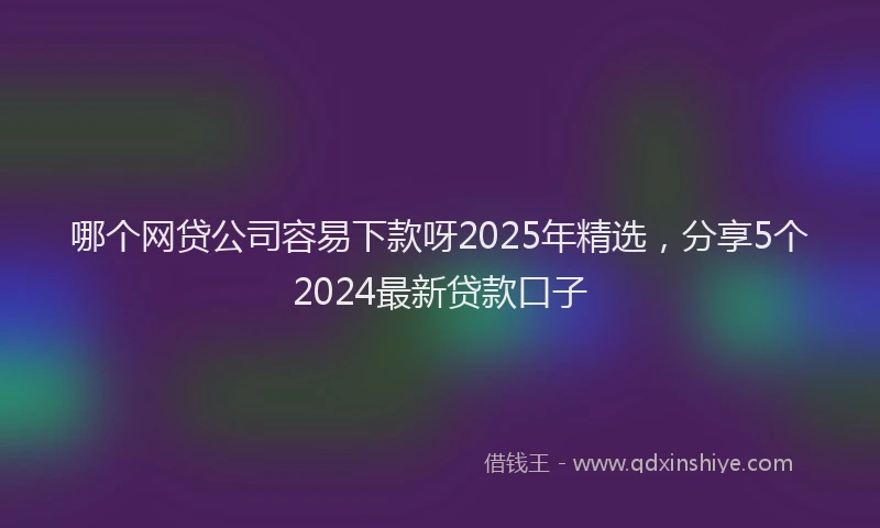 哪个网贷公司容易下款呀2025年精选，分享5个2024最新贷款口子