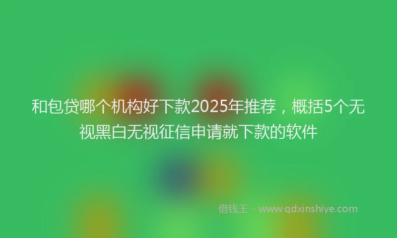和包贷哪个机构好下款2025年推荐，概括5个无视黑白无视征信申请就下款的软件