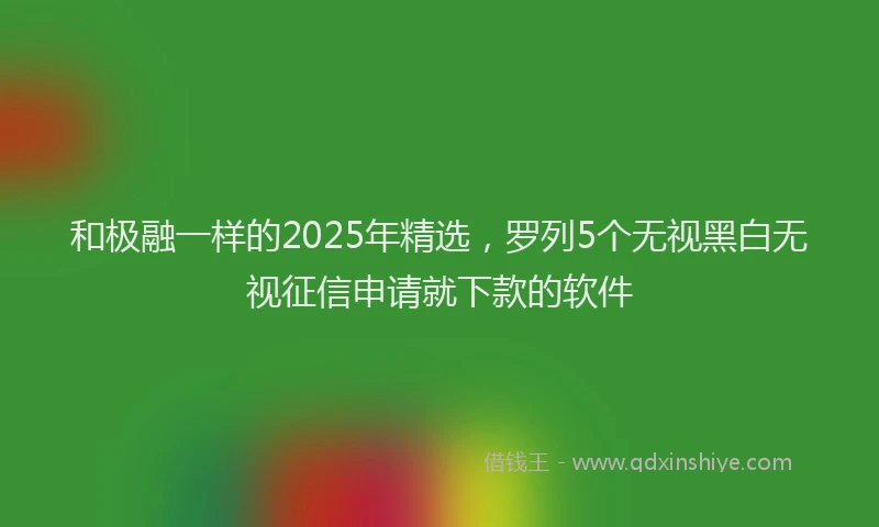 和极融一样的2025年精选，罗列5个无视黑白无视征信申请就下款的软件
