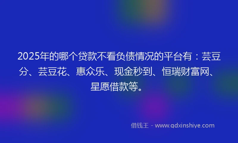 2025年的哪个贷款不看负债情况的平台有：芸豆分、芸豆花、惠众乐、现金秒到、恒瑞财富网、星愿借款等。