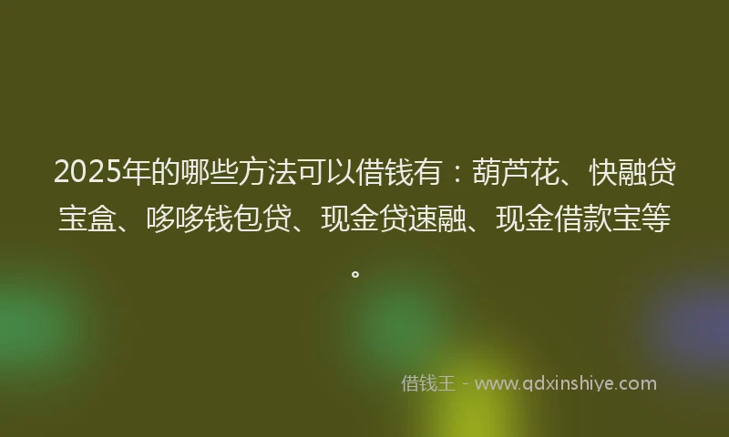 2025年的哪些方法可以借钱有：葫芦花、快融贷宝盒、哆哆钱包贷、现金贷速融、现金借款宝等。