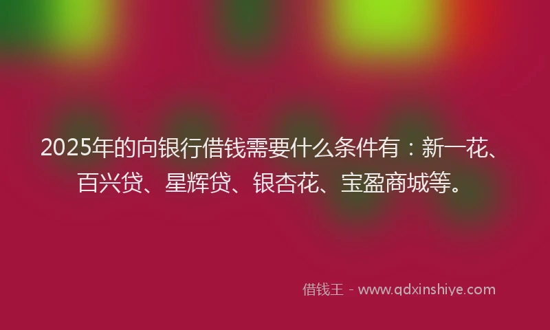 2025年的向银行借钱需要什么条件有：新一花、百兴贷、星辉贷、银杏花、宝盈商城等。