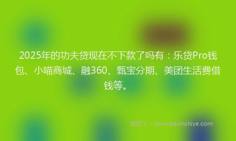 2025年的功夫贷现在不下款了吗有：乐贷Pro钱包、小喵商城、融360、甄宝分期、美团生活费借钱等。