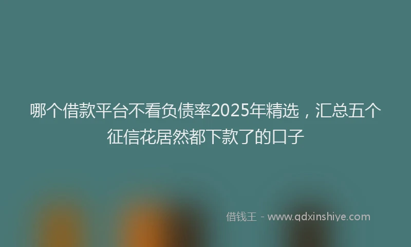 哪个借款平台不看负债率2025年精选，汇总五个征信花居然都下款了的口子